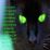 Hollyleaf