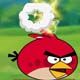Angrybird Adventure Game