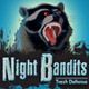 Night Bandits TD Game