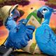 Rio 2 Spin Puzzle Game