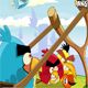 Angry Birds Punisher Game