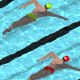 Swimming Race