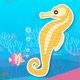 Finding Seahorses