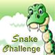 Snake Challenge Game