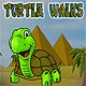 Turtle Walks Game