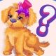 Wiz Dog Quiz Game