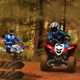 New Forest ATV Challenge Game