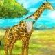 Giraffe Zoo Game