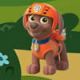 PAW Patrol Zuma Puzzle