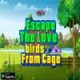 Knf Escape The Love birds From Cage