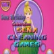 Sena Birthday Cleaning