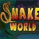 Snake World Game