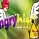 Angry Bird Shot Game