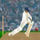 World Cup Cricket Practice - Free  game