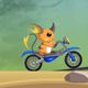 Raichu Ride Game