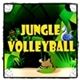 Jungle Volleyball Game