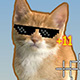 Cat Clicker MLG Game