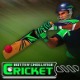 Cricket Batter Challenge - Free  game