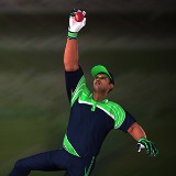 Cricket Fielder Challenge - Free  game