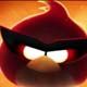 Angrybirds Zombies War Game