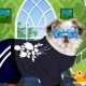 Chic Puppy Dressup Game