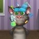 Talking Tom Great Makeover Game