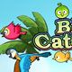 Bird Catcher Game