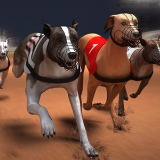 Greyhound Racing - Free  game