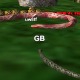 Snakes3D - Free  game