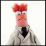 muppetgirl