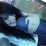 SwaqqqNeneeSmexyy
