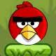 Angry Birds Bomber Bird Game