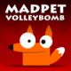 Madpet Volleybomb Game