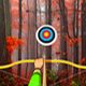 Hidden Targets-Red Forest Game