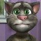 Talking Tom Cat 2 Game