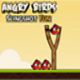 Angry Birds Slingshot Fun Game