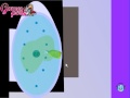 Video Walkthrough