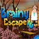 Brainy escape 10 Game