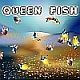 Queen Fish