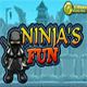 Ninja Fun