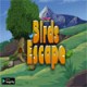 Knf birds Escape Game