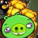 Angry Bird VS Green Pig-zombies