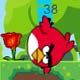 Angry Bird Forest Adventure Game