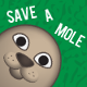 Save a Mole Game