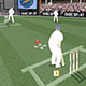 Cricket Challenge Game