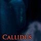 Callidus Adventure Game