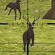 Deer Sniper 2014 - Free  game