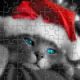 Santa Cat Puzzle Game