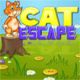 Cat Escape Game