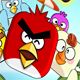 Angry Bumper Bird Game